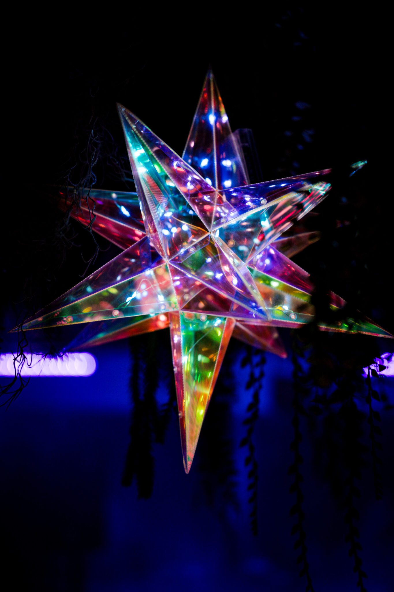 Event catering - walking dinner Utrecht